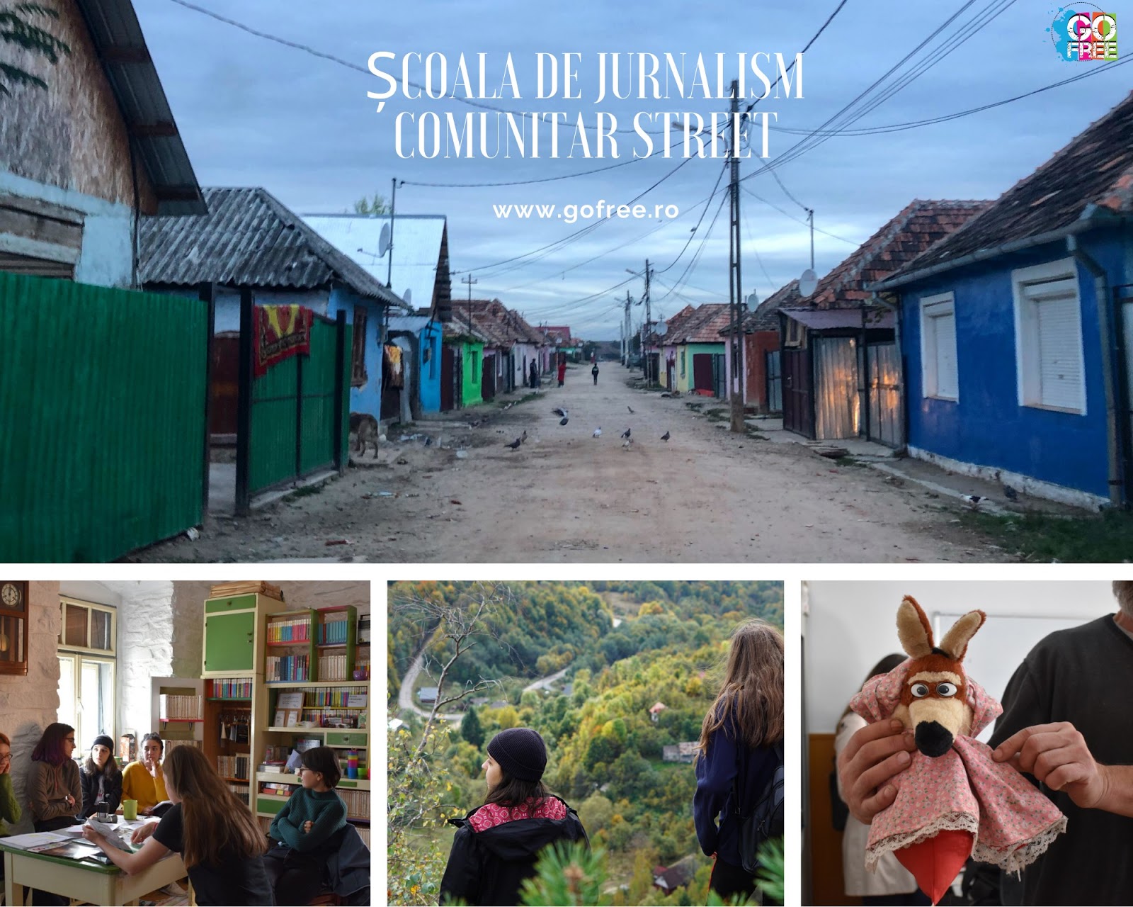Comunicarea online în sectorul ONG