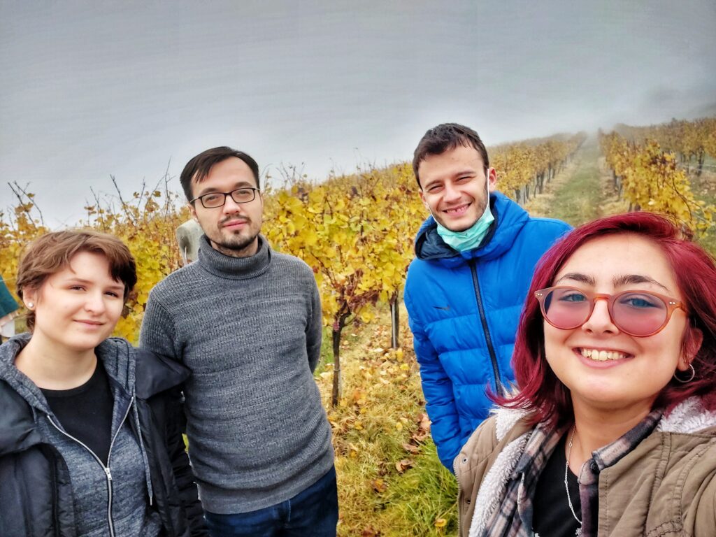 jidvei1